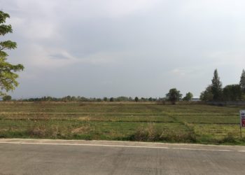 ขายที่ดินลำพูน (ติดถนน) 14 ไร่ ไร่ละ 1.6 ล้าน