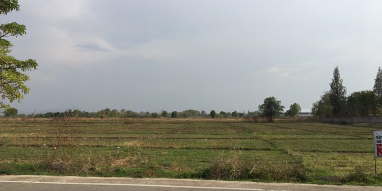 ขายที่ดินลำพูน (ติดถนน) 14 ไร่ ไร่ละ 1.6 ล้าน