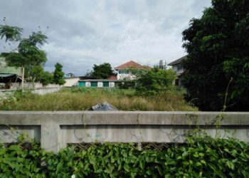 ขายที่ดินเปล่า (เหมืองง่า) ลำพูน 2 งาน ราคา 2.2 ล.