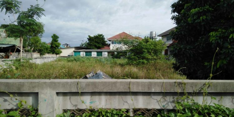 ขายที่ดินเปล่า (เหมืองง่า) ลำพูน 2 งาน ราคา 2.2 ล.