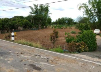 ที่ดินเปล่า สันป่าตอง เชียงใหม่ (ติดน้ำ ติดถนนลาดยาง) 1.3 ล้าน