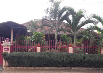 ขายบ้านชั้นเดียว เหมืองง่า ลำพูน 2 ห้องนอน สวนสวย 1.95 ล.