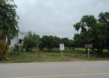 ขายที่ดิน 1 ไร่ ลำพูน พร้อมบ้านและห้องแถว