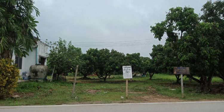 ขายที่ดิน 1 ไร่ ลำพูน พร้อมบ้านและห้องแถว