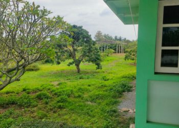 [ ขายบ้าน ] เนื้อที่ 9 ไร่ 38 ตรว. 8.9 ล้าน ใกล้วัดสันมะโก ต.บ้านแป้น อ.เมือง จ.ลำพูน