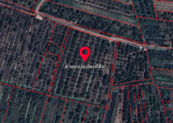 [ ขาย ] ที่ดิน สวนลำไยเนื้อที่ 6 ไร่ 2 งาน 70 ตรว. | 3.8 ล้าน | บ้านสบปะ ต.ริมปิง อ.เมือง จ.ลำพูน