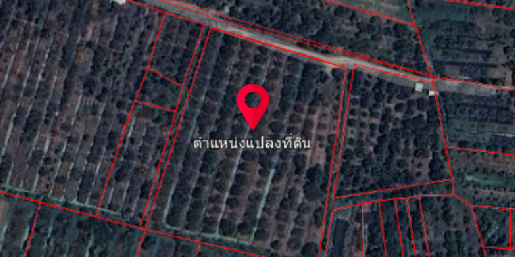 [ ขาย ] ที่ดิน สวนลำไยเนื้อที่ 6 ไร่ 2 งาน 70 ตรว. | 3.8 ล้าน | บ้านสบปะ ต.ริมปิง อ.เมือง จ.ลำพูน