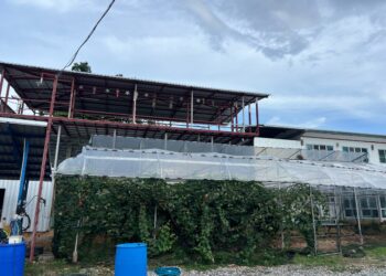 [ขาย] ไร่องุ่น จ.ลำพูน 12ไร่ 1งาน 64ตรว. 7.5ล้าน ที่ดินพร้อมสิ่งปลูกสร้าง