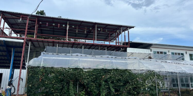 [ขาย] ไร่องุ่น จ.ลำพูน 12ไร่ 1งาน 64ตรว. 7.5ล้าน ที่ดินพร้อมสิ่งปลูกสร้าง